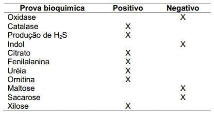 Proteus mirabilis como contaminante no isolamento de Campylobacter - Image 2