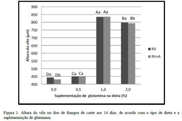 Suplementação de glutamina em dietas elaboradas com ingredientes de origem vegetal e animal para pintos de corte - Image 8