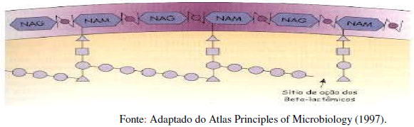 Utilização de antimicrobianos na avicultura - Image 12