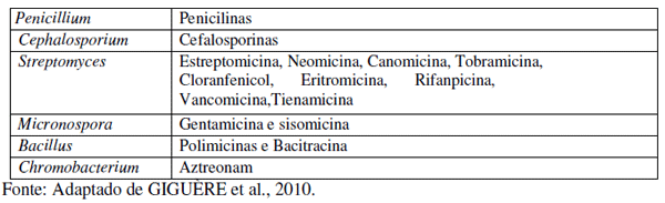 Utilização de antimicrobianos na avicultura - Image 1