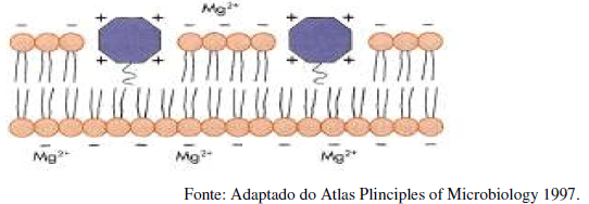 Utilização de antimicrobianos na avicultura - Image 13