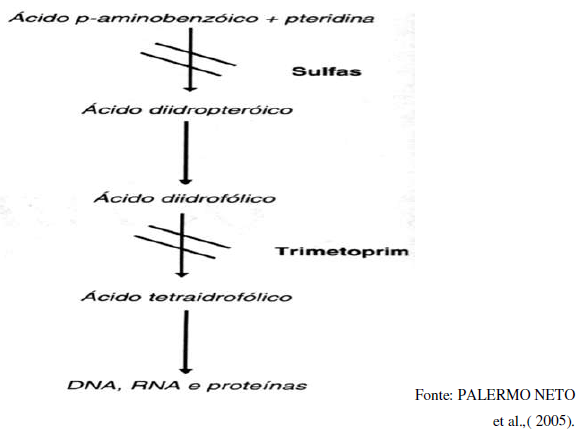 Utilização de antimicrobianos na avicultura - Image 10