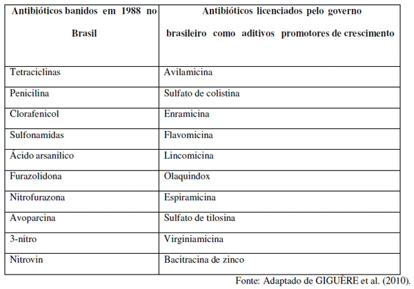 Utilização de antimicrobianos na avicultura - Image 9