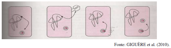 Utilização de antimicrobianos na avicultura - Image 21