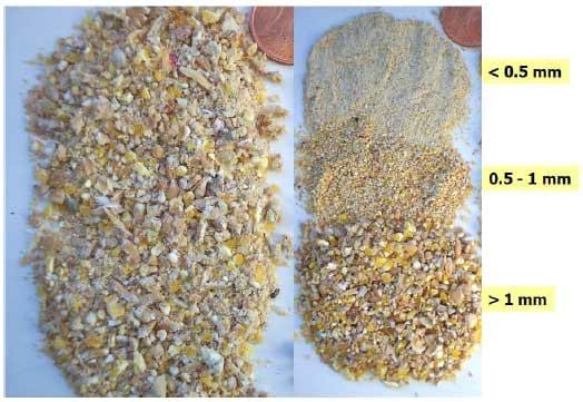 Ração estruturada para maior produção animal – novos desafios para o processamento de alimentos em fábricas de ração - Image 1