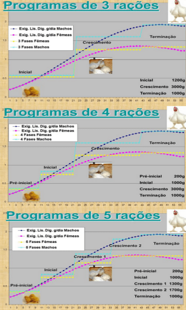 Como formular ração na prática com o PPFR - Image 26