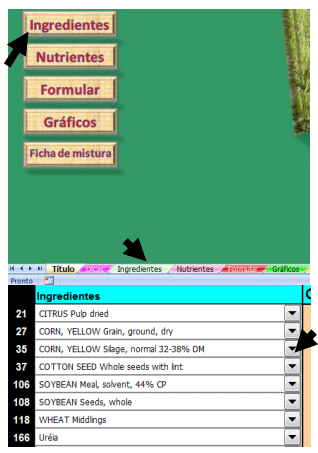 PPFR: EFICAZ PROGRAMA PARA FORMULAÇÃO DE RAÇÕES - Image 4
