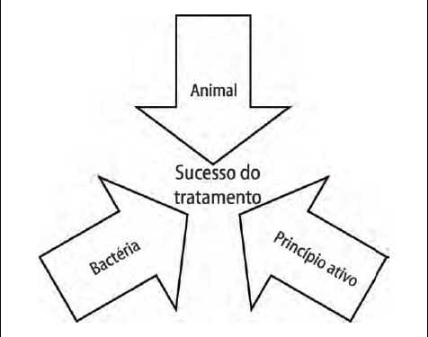 Medicamentos e medicações no controle de doenças entéricas pós-desmame - Image 6
