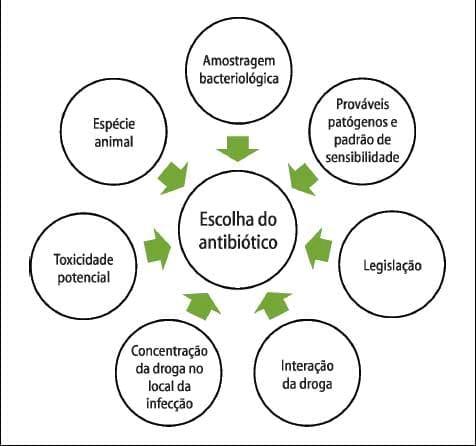 Medicamentos e medicações no controle de doenças entéricas pós-desmame - Image 4