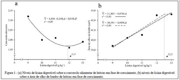 Lisina digestível para leitoas em fase de crescimento - Image 3