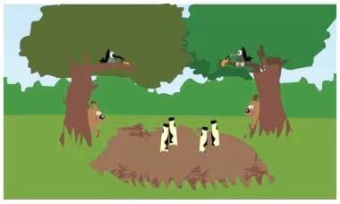 Compostagem de carcaças de grandes animais - Image 5