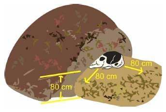 Compostagem de carcaças de grandes animais - Image 2