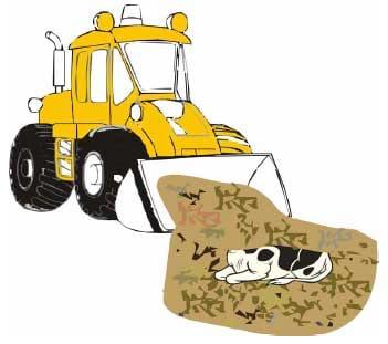 Compostagem de carcaças de grandes animais - Image 3