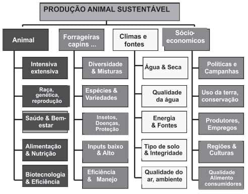 Sustentabilidade de pastagens – manejo adequado como medida redutora da emissão de gases de efeito estufa - Image 2