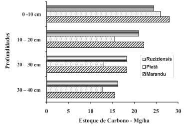 Sustentabilidade de pastagens – manejo adequado como medida redutora da emissão de gases de efeito estufa - Image 16