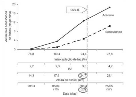 Sustentabilidade de pastagens – manejo adequado como medida redutora da emissão de gases de efeito estufa - Image 6
