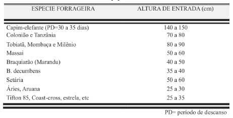 Sustentabilidade de pastagens – manejo adequado como medida redutora da emissão de gases de efeito estufa - Image 3