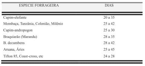 Sustentabilidade de pastagens – manejo adequado como medida redutora da emissão de gases de efeito estufa - Image 5