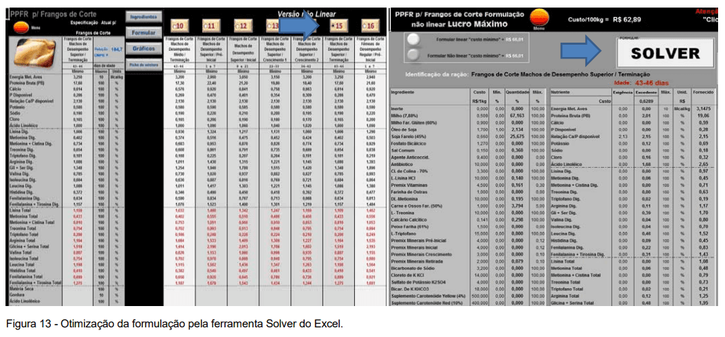 ACURÁCIA E PRECISÃO NA FORMULAÇÃO NÃO LINEAR DE RAÇÃO PARA FRANGOS DE CORTE: AVANÇO E OTIMIZAÇÃO DE RESULTADOS - Image 35