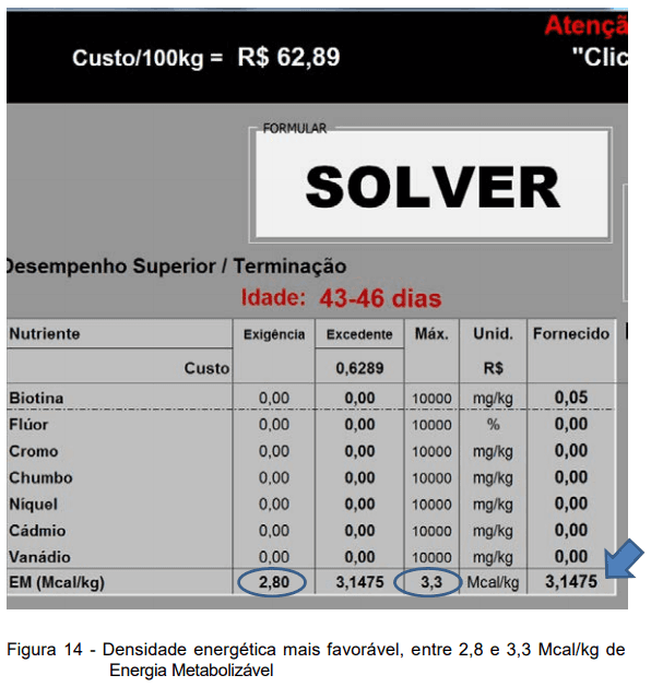 ACURÁCIA E PRECISÃO NA FORMULAÇÃO NÃO LINEAR DE RAÇÃO PARA FRANGOS DE CORTE: AVANÇO E OTIMIZAÇÃO DE RESULTADOS - Image 37