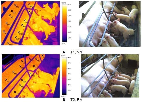 Temperatura superficial de porcas em lactação submetidas ao resfriamento adiabático - Image 1