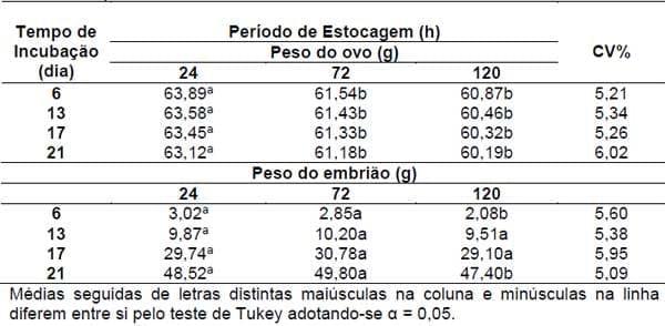 Parâmetros que afetam o desenvolvimento embrionário de pintos de corte - Image 2