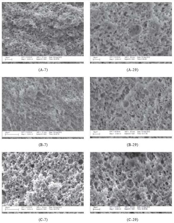 Efeito do uso de dióxido de carbono (CO2) na microestrutura dos queijos Minas Frescal e Minas Padrão - Image 1