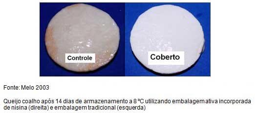 Embalagens Ativas – Novos caminhos no acondicionamento de leite e derivados - Image 1