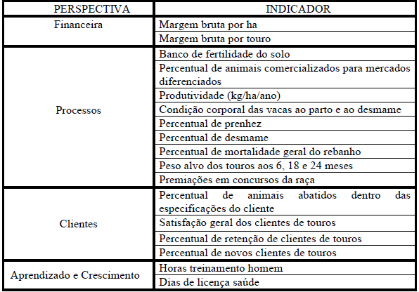 Implantação de sistema de indicadores de desempenho em empresa de pecuária de corte - Image 3