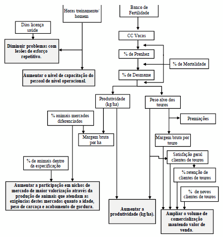 Implantação de sistema de indicadores de desempenho em empresa de pecuária de corte - Image 13