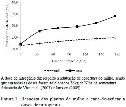Uso da cana-de-açúcar na alimentação de ruminantes - Image 1
