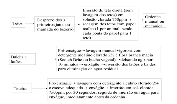 Boas práticas de ordenha para redução da contaminação microbiológica do leite no agreste Pernambucano - Image 2