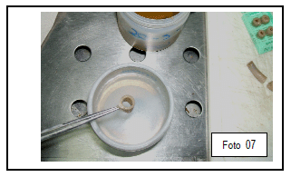 Integridade intestinal de frangos de corte quanto ao uso de novos aditivos nas dietas modernas - Image 8
