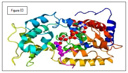 Integridade intestinal de frangos de corte quanto ao uso de novos aditivos nas dietas modernas - Image 10