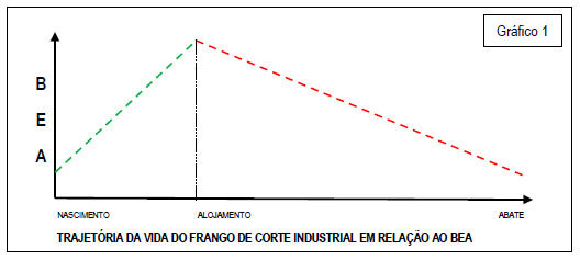 Questionamento do BEA - Bem Estar Animal e Produtividade de frangos de corte criados em diferentes tipos de instalações - Image 1