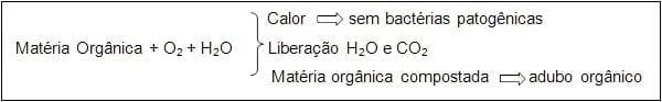 Estratégias para a utilização de camas em aviário - Image 3