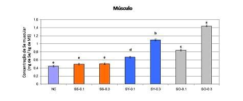 Melhorar a produção dos leitões por meio da redução do estresse oxidativo - Image 3