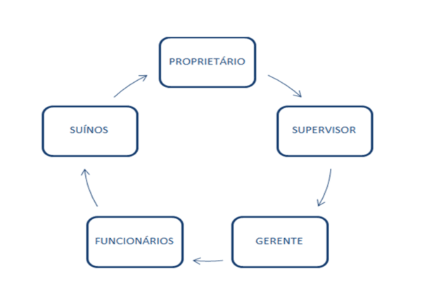 Produção de suínos de primeiro mundo: existe uma arma secreta? - Image 1
