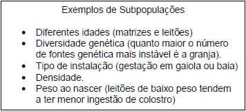 Vacinação e Imunidade de Rebanho Suíno - Image 1