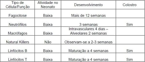 Vacinação e Imunidade de Rebanho Suíno - Image 6
