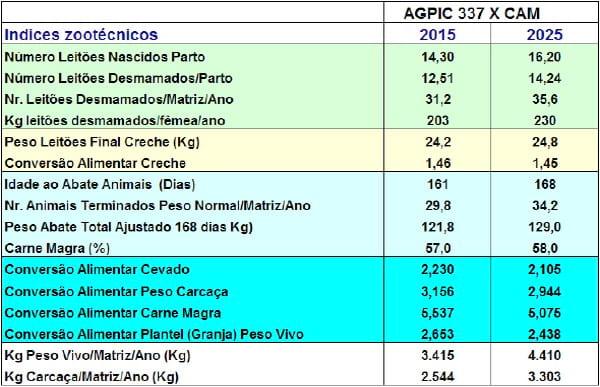 BENEFÍCIOS DO VALOR GENÉTICO NA PRODUÇÃO DE CARNE SUÍNA - Image 3