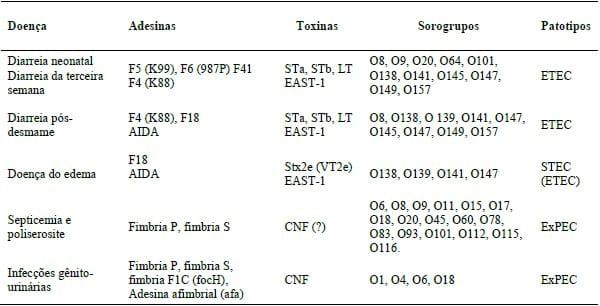 EPIDEMIOLOGIA DAS INFECÇÕES POR Escherichia coli NA SUINOCULTURA BRASILEIRA - Image 1