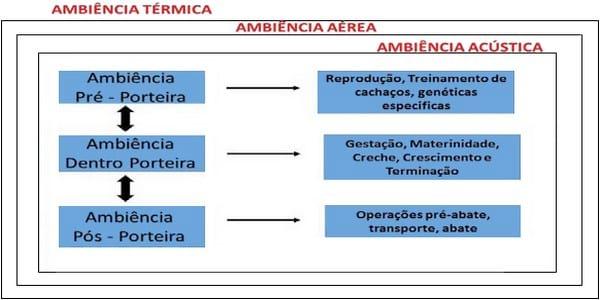 INSTALAÇÕES NA SUINOCULTURA VISANDO A MAXIMIZAÇÃO DE RESULTADOS ZOOTÉCNICOS E DE AMBIÊNCIA - Image 1