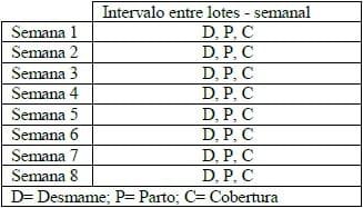 MANEJO EM BANDAS NA SUINOCULTURA - Image 1