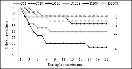 IMPORTÂNCIA DO FORNECIMENTO DE COLOSTRO E DE SUPLEMENTO NUTRICIONAL PARA A SOBREVIVÊNCIA DE LEITÕES DE BAIXO PESO - Image 2