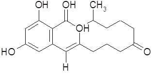 Micotoxinas do Trigo - Image 3
