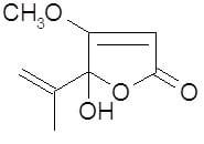 Micotoxinas do Trigo - Image 6