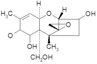 Micotoxinas do Trigo - Image 2