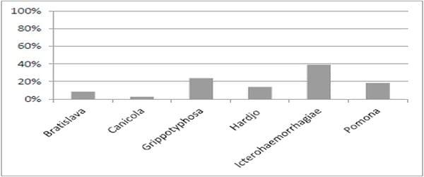 ESTUDO DAS SUBPOPULAÇÕES SORONEGATIVAS FRENTE PARVOVIRUS SUÍNO (PPV) ERISIPELA SUINO (ES) E LEPTOSPIRA (L) EM 21 GRANJAS BRASILERAS - Image 3