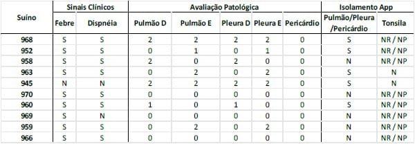 MODELO EXPERIMENTAL DE INDUÇÃO DE PLEUROPNEUMONIA POR Actinobacillus pleuropneumoniae EM SUÍNOS: ESTUDO CLÍNICO E LABORATORIAL - Image 1